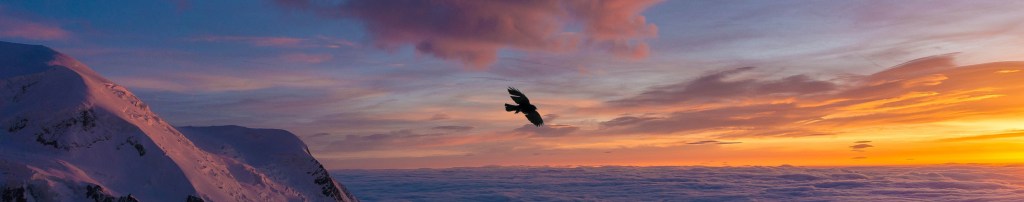 Bless the Lord Oh my soul