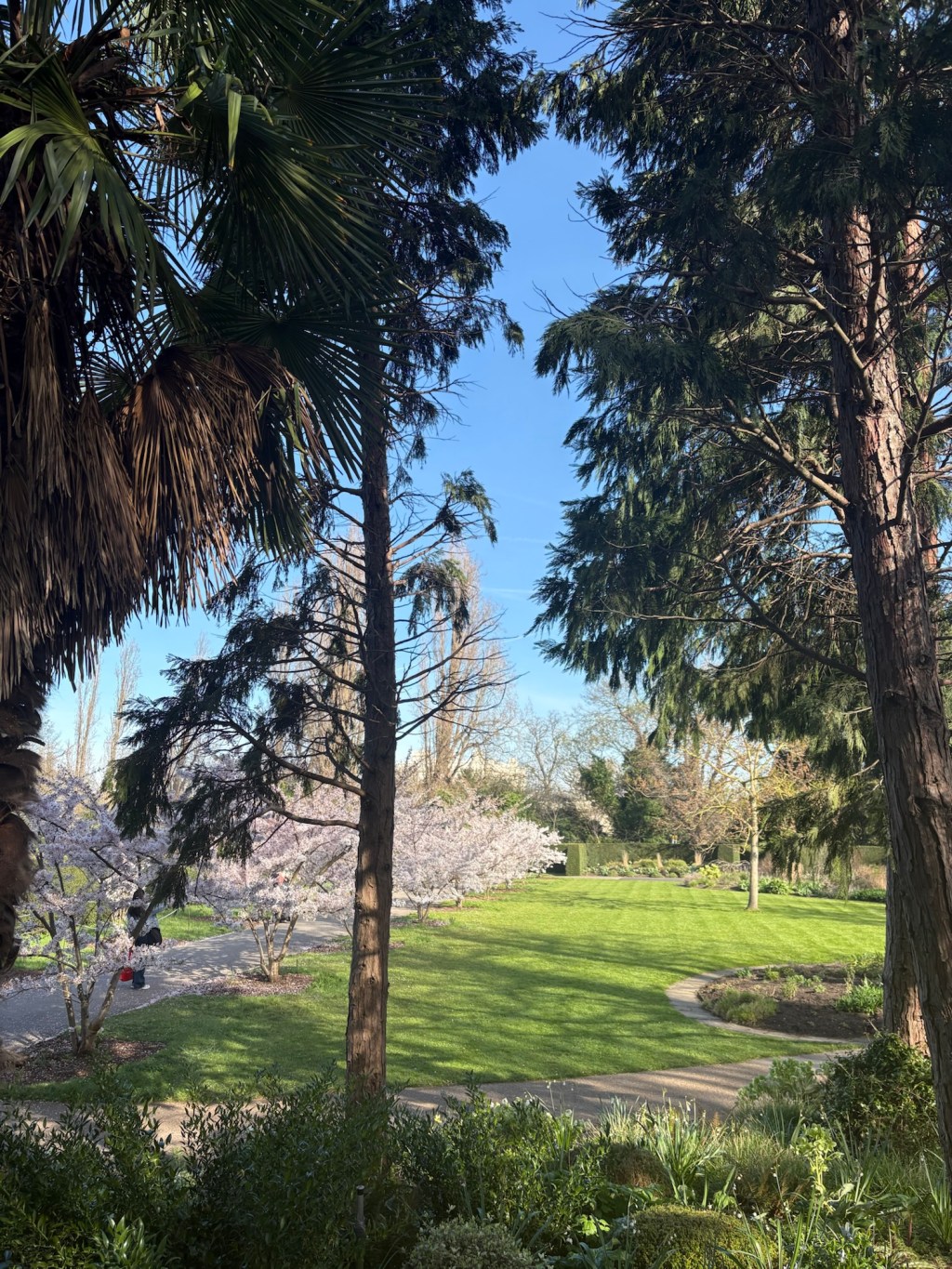 First day of&nbsp;Spring..